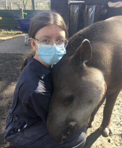 UCR student Rhianna Williamson with Timmy the tapir