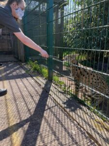 UCR student Rhianna Williamson feeding serval cat
